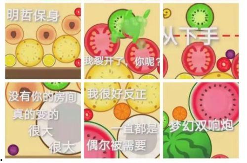 泡泡吃瓜网ppcg,揭秘娱乐圈幕后故事，带你领略明星真实生活