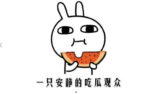 网红吃瓜网站叫什么来着,揭秘娱乐圈幕后真相
