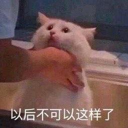 朝阳群众吃瓜网被封,揭秘网络社区被封背后的故事