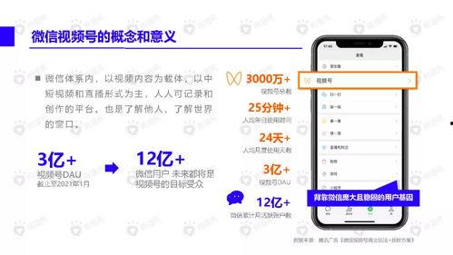 正能量网红吃瓜视频下载,正能量网红带你领略美食魅力