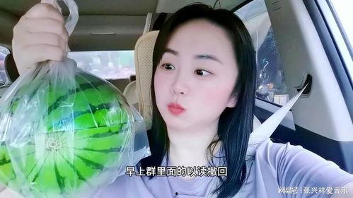 往期网红吃瓜视频,一场场娱乐盛宴背后的真相与笑料