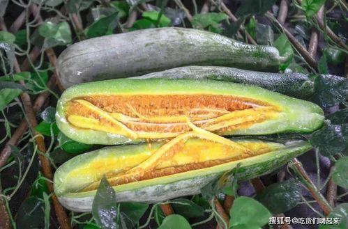呼和浩特网红吃瓜,揭秘城市美食圈的热议焦点